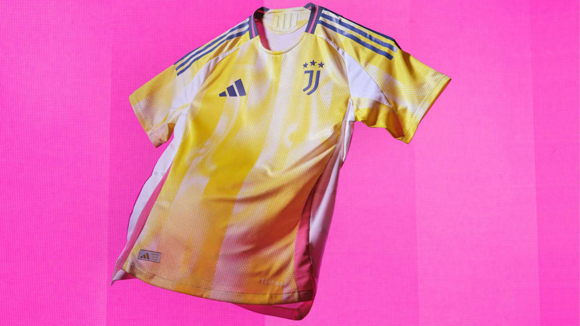 崭露头角的 崭露头角的