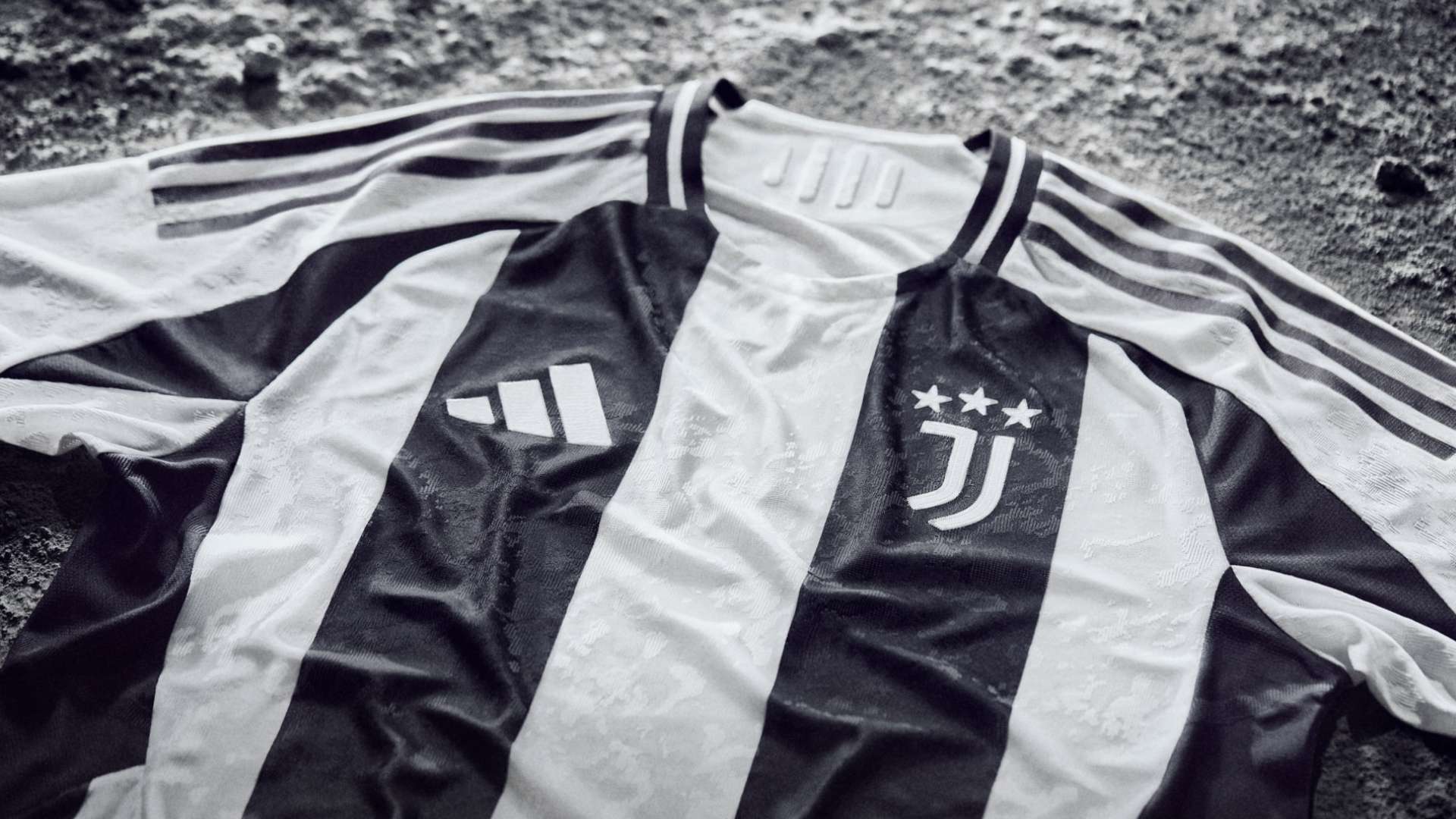 各支球队纷 各支球队纷